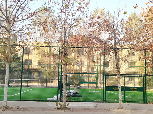 潍坊职业学院2片草坪网球场建设完工